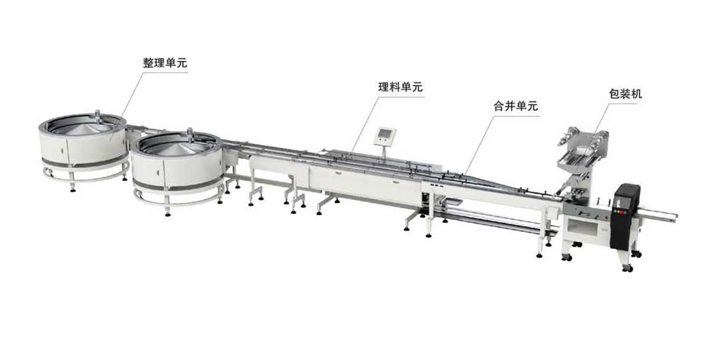 雙通道餅干料理包裝系統