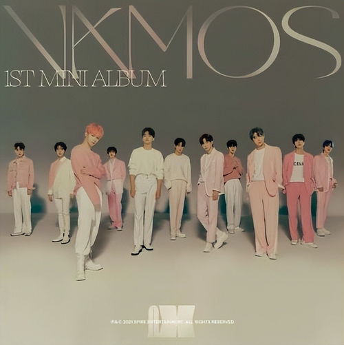 經(jīng)紀(jì)公司再陷爭(zhēng)議漩渦 強(qiáng)迫確診成員演出與職場(chǎng)霸凌的警示